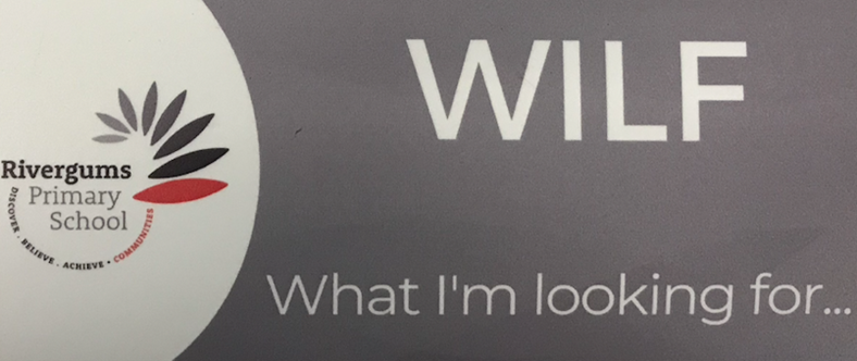 Our Instructional Model 2